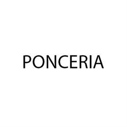 Ir Poncino, Pisa orari di apertura