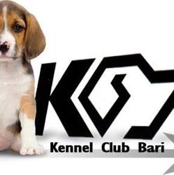 Kennel Club E.n.c.i, Bari orari di apertura