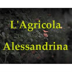 L'Agricola Alessandrina, Alessandria orari di apertura