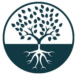 L'Albero Delle Meraviglie, Occhiobello orari di apertura