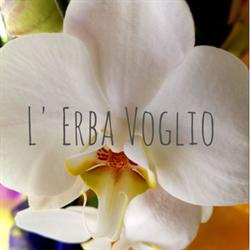 Fiorista L'Erba Voglio, Pieve Emanuele orari di apertura