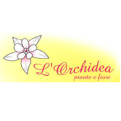 Orchidea Agenzia Funebre, Carlentini orari di apertura