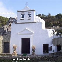 L'Orchidea Di Castaldi R., Forio orari di apertura