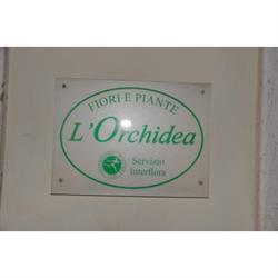 L'Orchidea di Rompietti Grazia, Amelia orari di apertura
