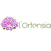 L'ortensia SNC Di Teglia d. & C., Bologna orari di apertura