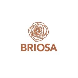 La Boutique Del Regalo BRIOSA, Roseto degli Abruzzi orari di apertura