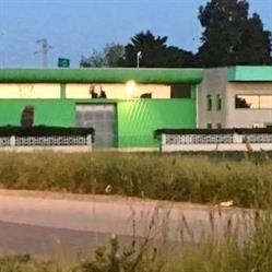 La Casa Della Carta, Collesalvetti orari di apertura