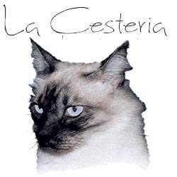 La Cesteria (S.n.c.), Modena orari di apertura