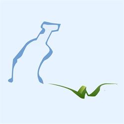 La Cristallina Water SRL, Genova orari di apertura
