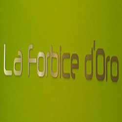 La Forbice D'Oro, Treviso orari di apertura