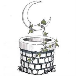 ERBORISTERIA LA LUNA NEL POZZO - ALIMENTI BIOLOGICI, Martellago orari di apertura