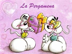 La Pergamena, Cercola orari di apertura