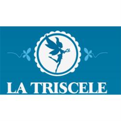 Ludoteca La Triscele, Catania orari di apertura