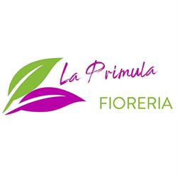La Primula Fioreria, Grottaglie orari di apertura