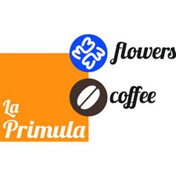 La Primula Fiori Chiosco, Avigliana orari di apertura