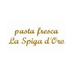 Pasta Fresca La Spiga D'Oro, Gallipoli orari di apertura