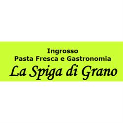 Pastificio La Spiga di Grano, La Spezia orari di apertura