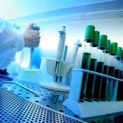 Laboratorio Analisi Check Up, Cerignola orari di apertura