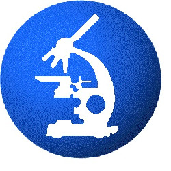 Laboratorio Analisi Cliniche Dovim, Montesilvano orari di apertura
