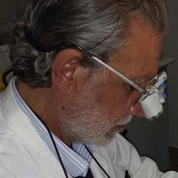 Laganà Dott. Demetrio, Reggio Calabria orari di apertura