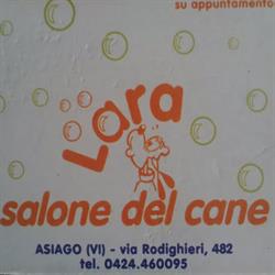 Lara Salone Del Cane, Asiago orari di apertura