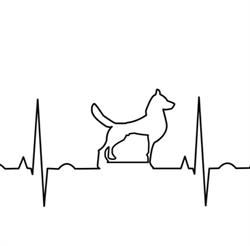 Larini D. & Marcoaldi M. Studio Ass. Med. Veterinario, Torre a Mare orari di apertura