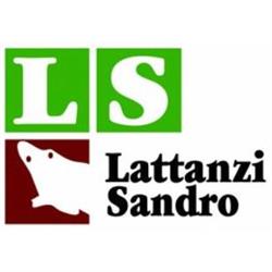 Lattanzi Scavi, Macerata orari di apertura