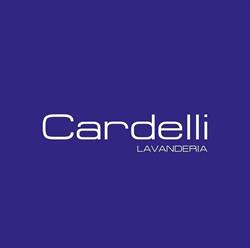 Lavabiancheria Cardelli Mario Mario, Jesi orari di apertura