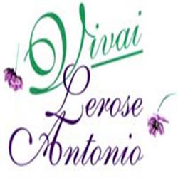 Antonio Le Rose Vivai, Scanzano Jonico orari di apertura