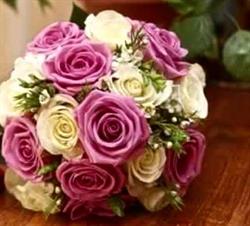 Les Fleurs Di Rovere Sandra & C. S.n.c., Mondovì orari di apertura