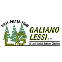 Vivai Galiano Lessi, Musile di Piave orari di apertura