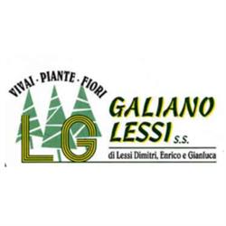 Vivai Galiano Lessi, Musile di Piave orari di apertura