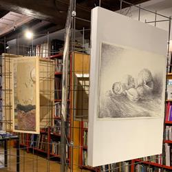 Libreria Plinio Il Vecchio (S.n.c.), Como orari di apertura