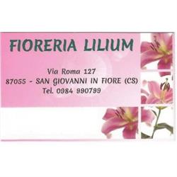 Lilium Veltri, San Giovanni in Fiore orari di apertura