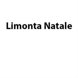 Limonta Natale, Viganò orari di apertura