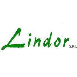 Lindor - Impresa di Pulizie dal 1973, Castel Maggiore orari di apertura