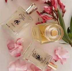 Linea Emmezeta Parfum SAS Di Rizzo T. & C., Padova orari di apertura