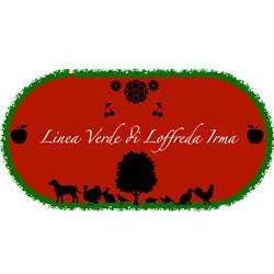 Linea Verde, Sarteano orari di apertura
