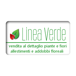 Linea Verde, Genova orari di apertura