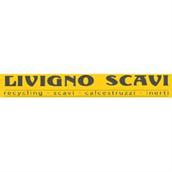 Livigno Scavi, orari di apertura