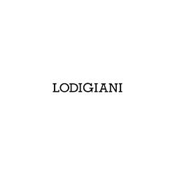 Lodigiani, San Martino Siccomario orari di apertura