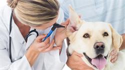 Ambulatorio Veterinario - Dr.ssa Simona Longoni, Cantù orari di apertura
