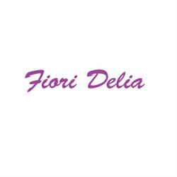 Fiori Delia, Pomaretto orari di apertura
