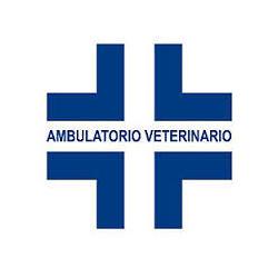Ambulatorio Veterinario Lostia Dr. Michele, Senorbì orari di apertura