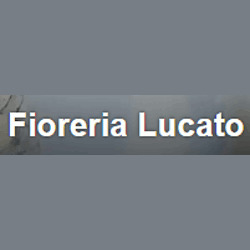 Fioreria Lucato, Morgano orari di apertura