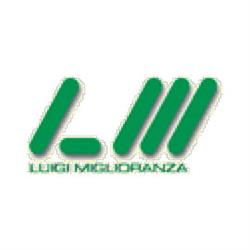 Luigi Miglioranza, Sesto Calende orari di apertura