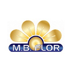 Mb Flor - Vivaio, San Cesareo orari di apertura
