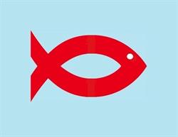 Genepesca M.B. Surgelati, Livorno orari di apertura