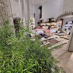 Macchi Teresa Di Pigni G. e C. (S.n.c.), Gallarate orari di apertura