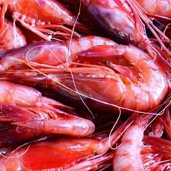 Pescheria di Macchia Luigi, Casarano orari di apertura